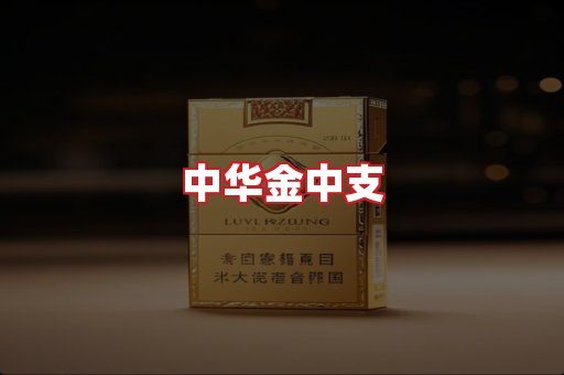 中华金中支